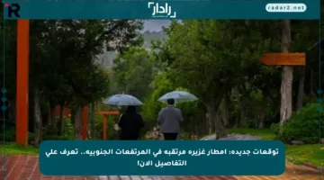 توقعات جديدة: أمطار غزيرة مرتقبة في المرتفعات الجنوبية.. تعرف على التفاصيل الآن!